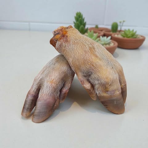 Pig Trotters – Extra Large Natural Chews for Dogs