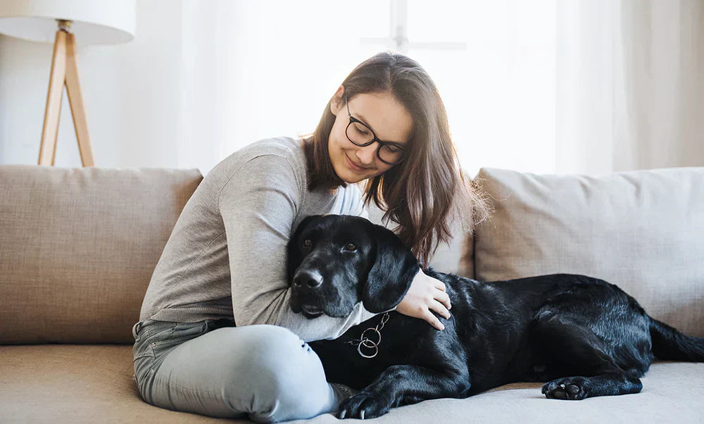 💡 Fun Ways to Use Treats for Training and Bonding