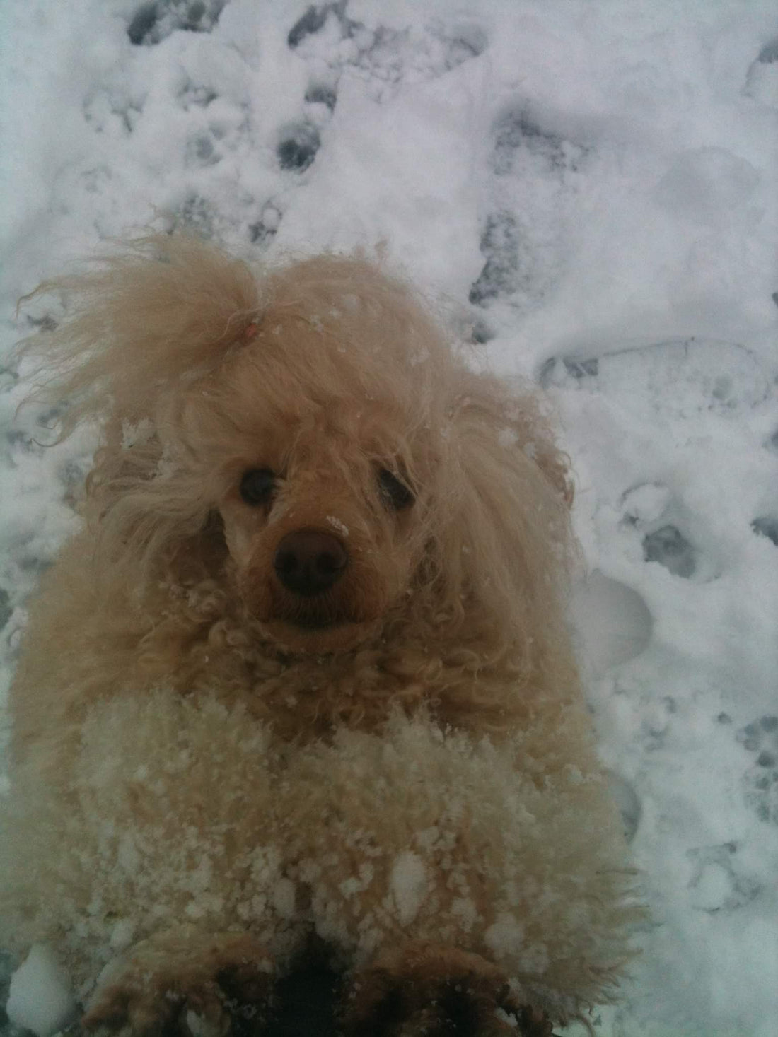 Dora’s Delights Featured in Metropol Magazine!