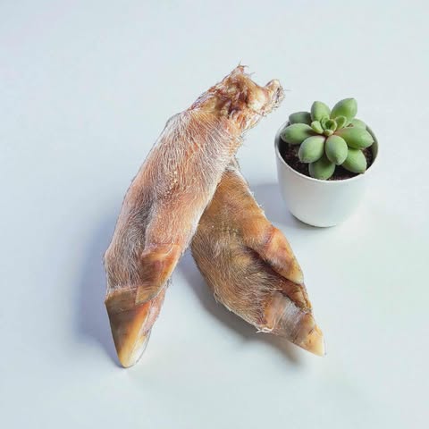 Half Pig Trotters – Natural Chews With Hair